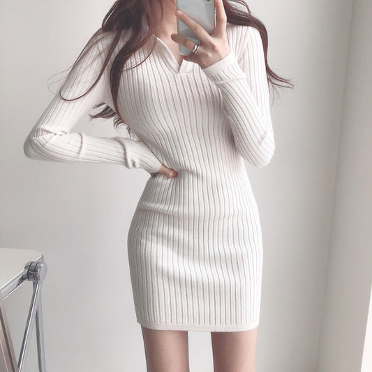 Knit Polo Collar Bodycon Dress