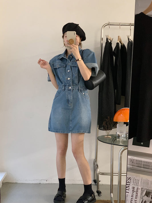 Collared Waist-Tailored A-Line Denim Dress