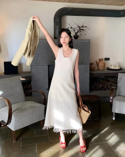 Lace Fringe Trim Dress