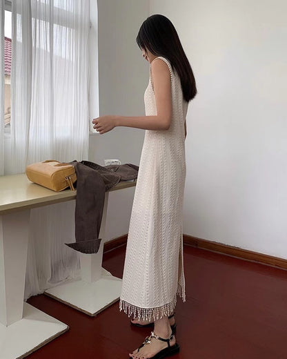 Lace Fringe Trim Dress