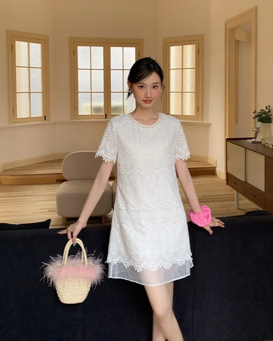 Crew Neck Hollow Embroidered Dress