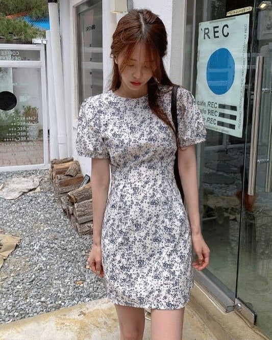 Lantern Sleeve Cinched Waist Floral Dress