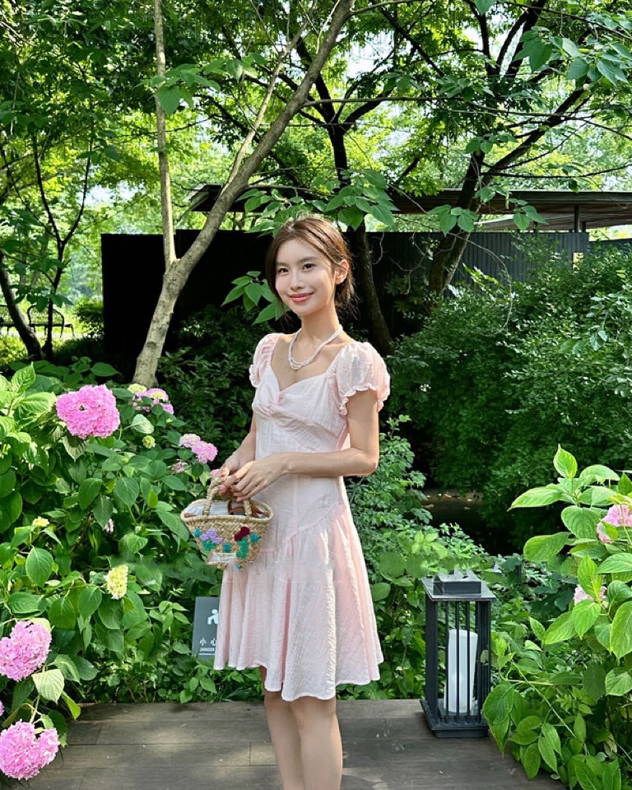 French Puff Sleeve Dress