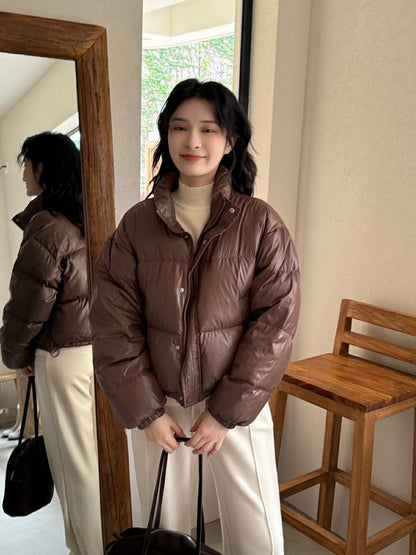 Vintage Glossy Stand Collar Down Jacket