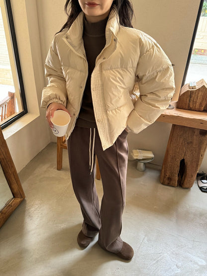 Vintage Glossy Stand Collar Down Jacket