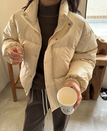 Vintage Glossy Stand Collar Down Jacket