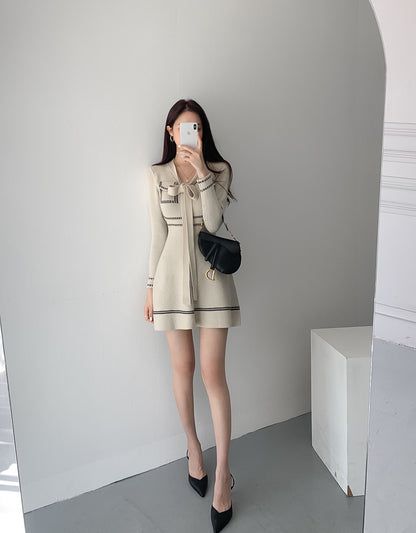 Visible Stitch Knit Dress