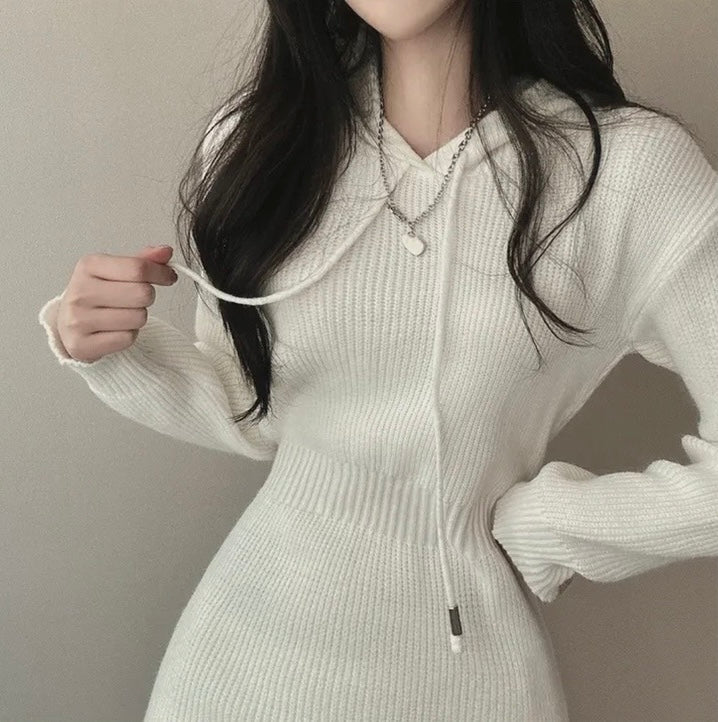 Hooded Bodycon Waist-cinching Dress