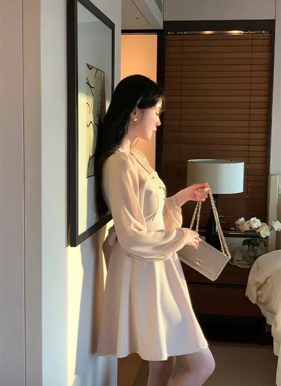 V-neck Single-breasted Mesh Panel Dress