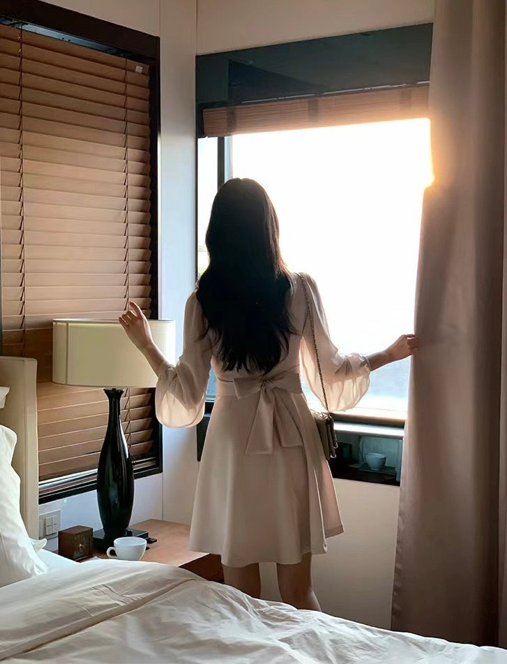 V-neck Single-breasted Mesh Panel Dress