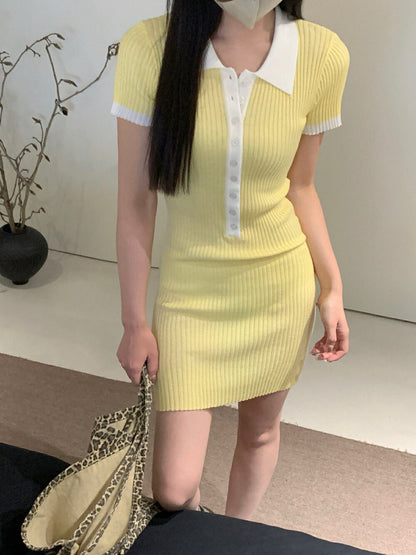 Versatile Slimming Bodycon Dress