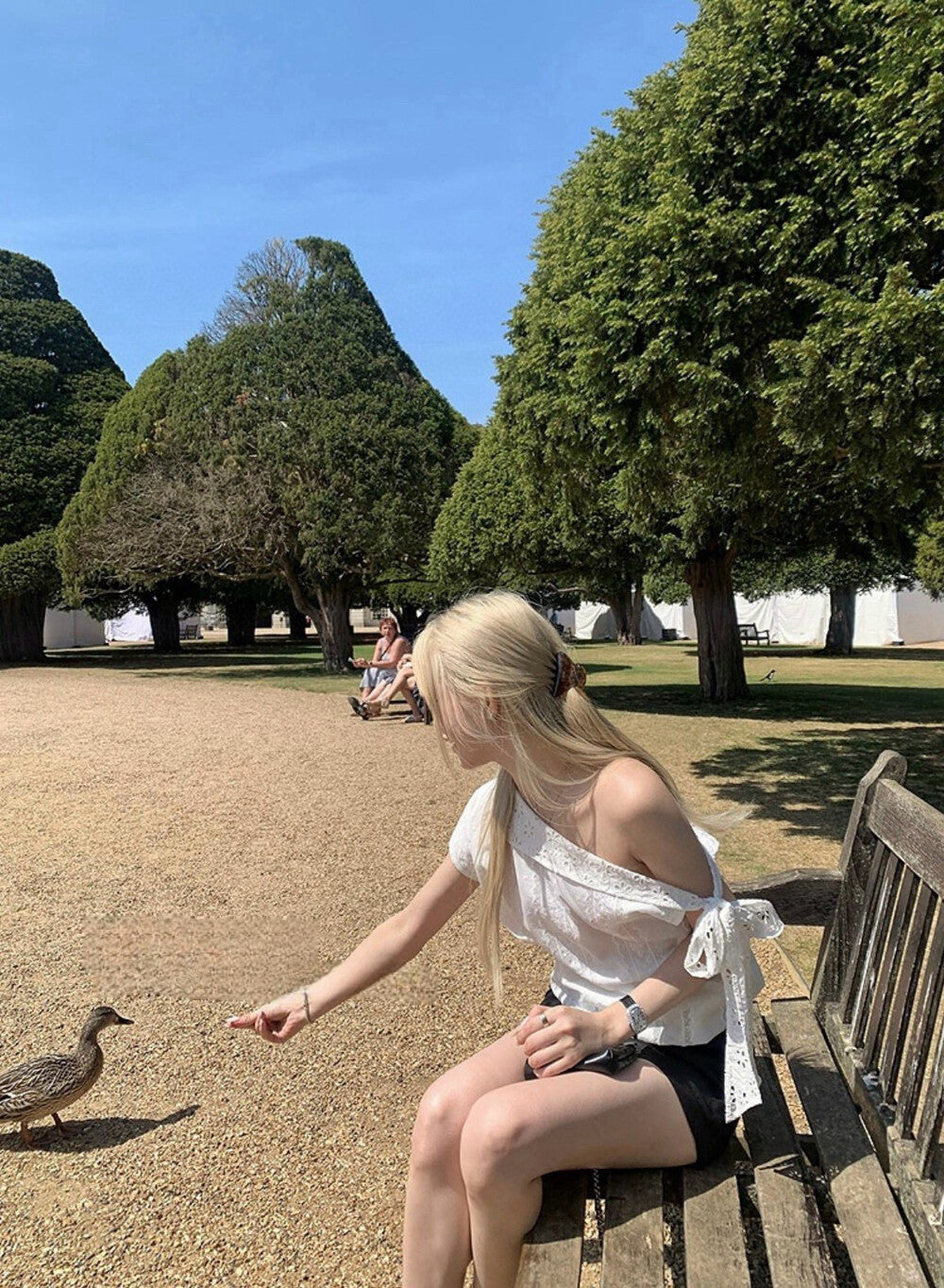 Off-shoulder Embroidered Patchwork Chic Blouse