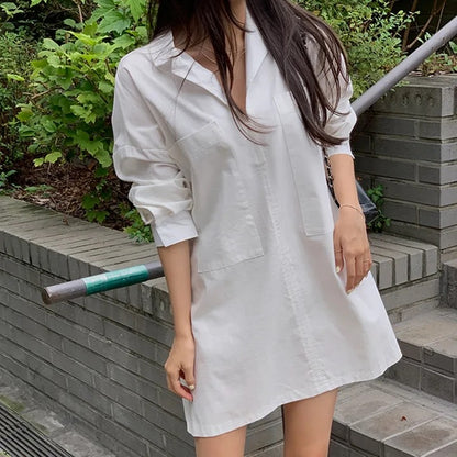 Blazer Collar Waist-Tailored Shirt Dress