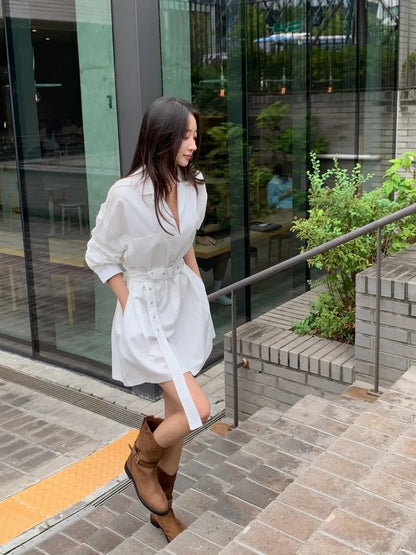 Blazer Collar Waist-Tailored Shirt Dress