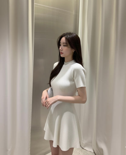 Minimalist Mock Neck Knit Dress