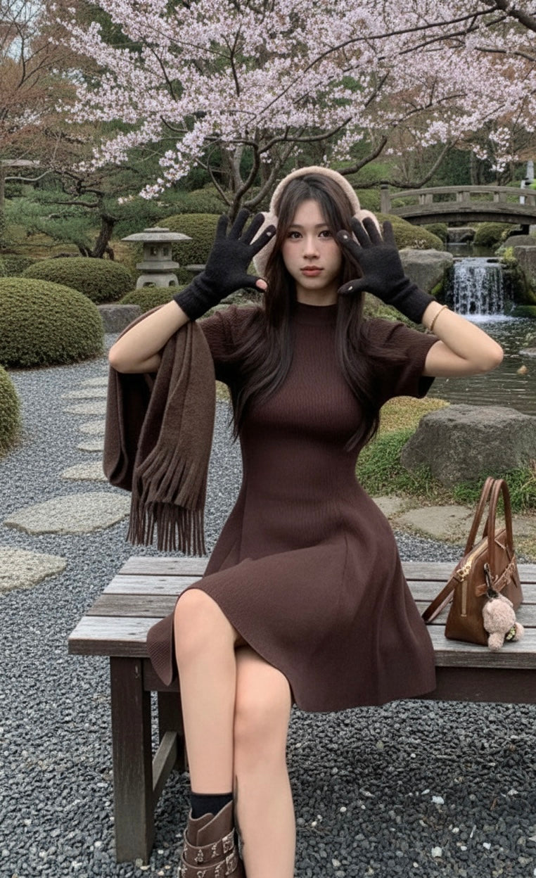 Minimalist Mock Neck Knit Dress