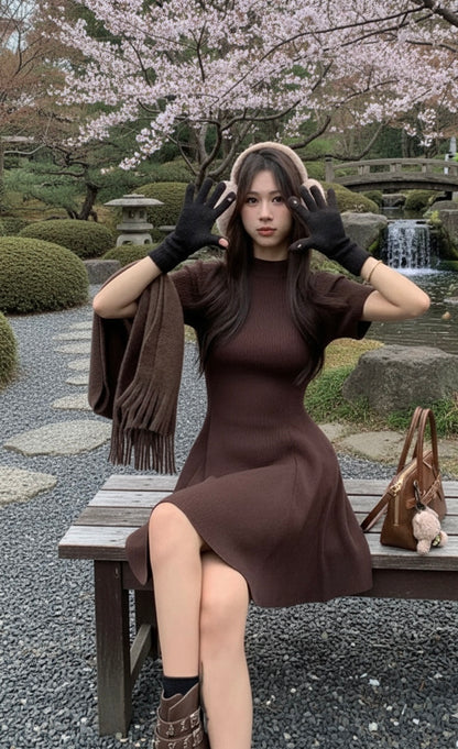 Minimalist Mock Neck Knit Dress