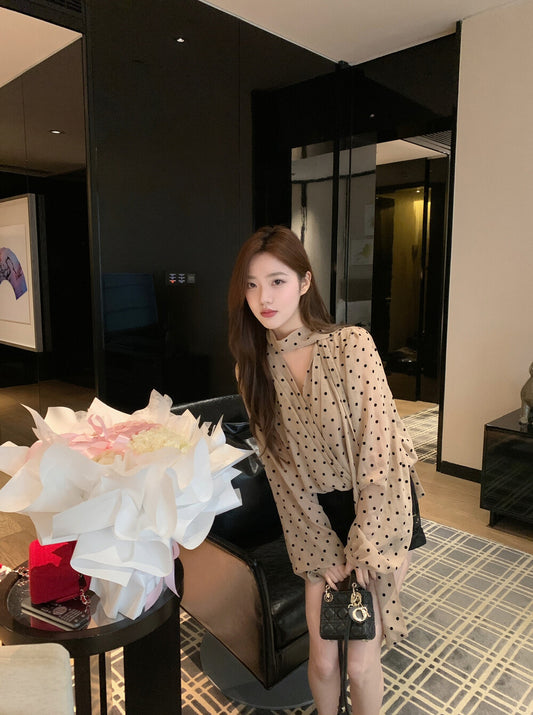 Vintage Polka Dot Tie Chiffon Blouse